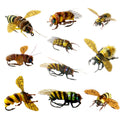 Fishing Flies Kit With Box - Nymphs, Dry, Wet, Streamers, Realistic Flies (Dozen Varieties Bee) 10Pcs