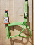 Weaver Original Nylon Halter S Pistachio Green