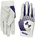 Under Armour Boys Youth Clean Up Baseball Gloves, (104) White/Purple/Purple, Medium