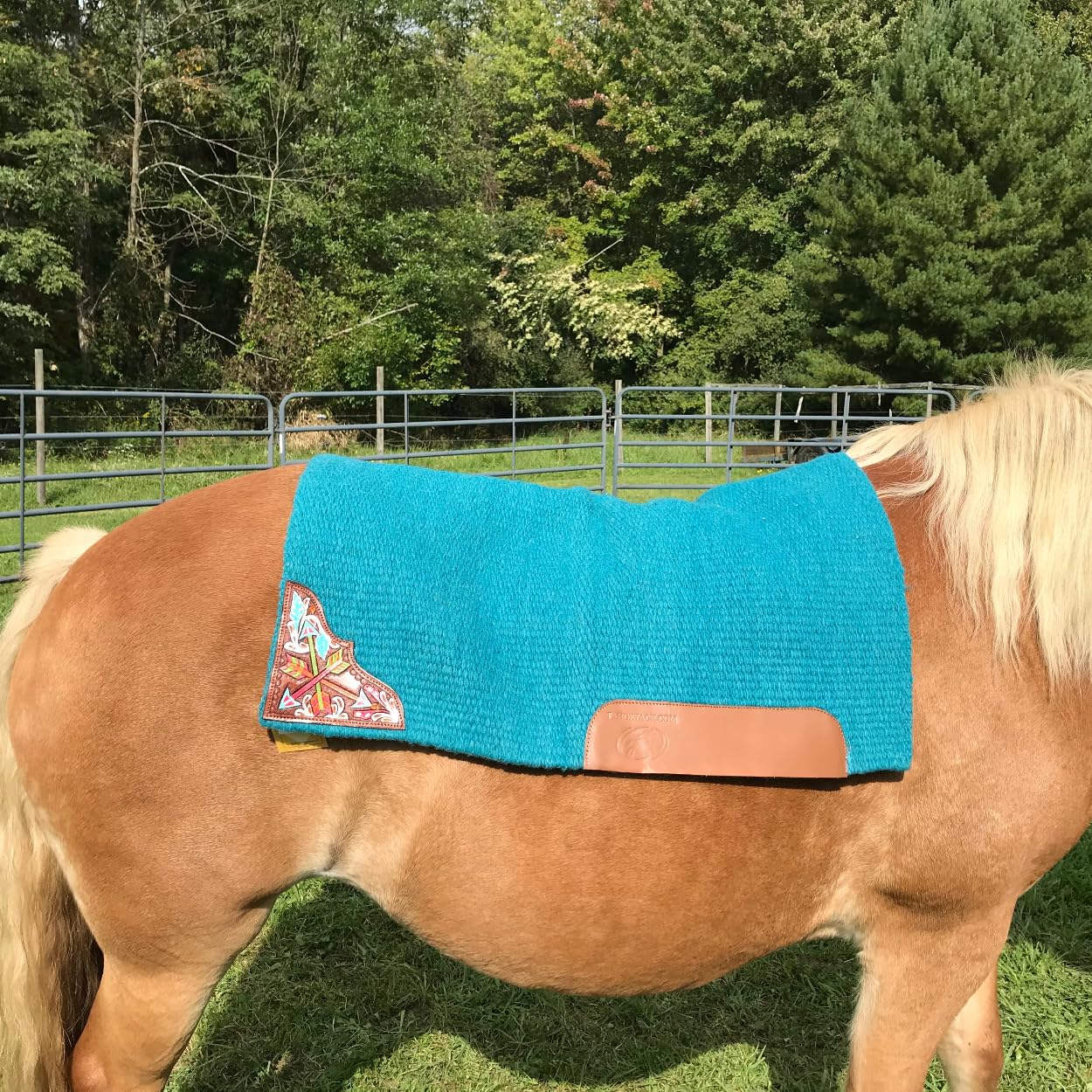Tahoe Tack 34'' X 36'' Kaye Arrow Solid New Zealand Wool Western Saddle Blanket Pad