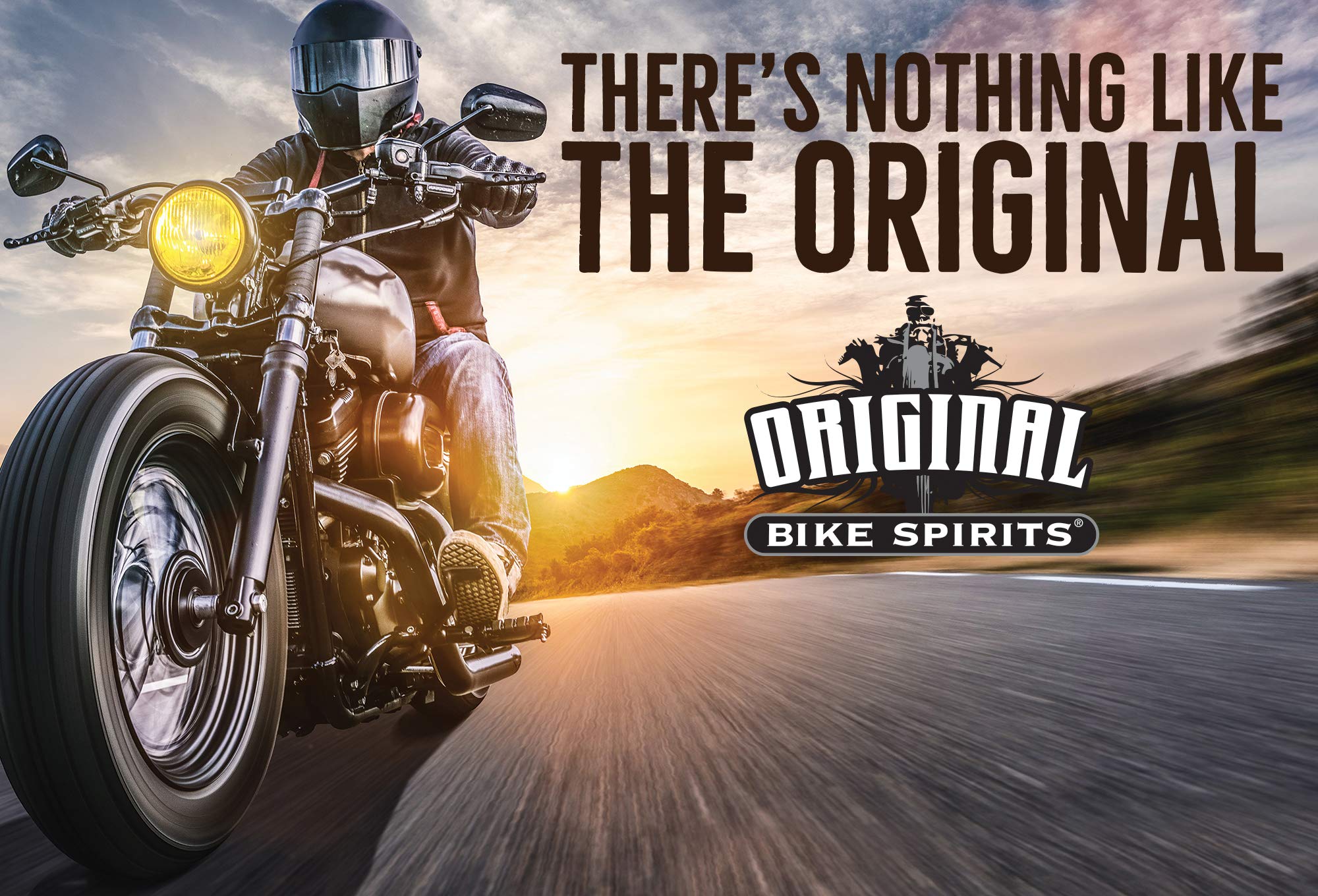 Original Bike Spirits Cleaner And Polish 14 Ounce 1039615 (Pack Of 2)