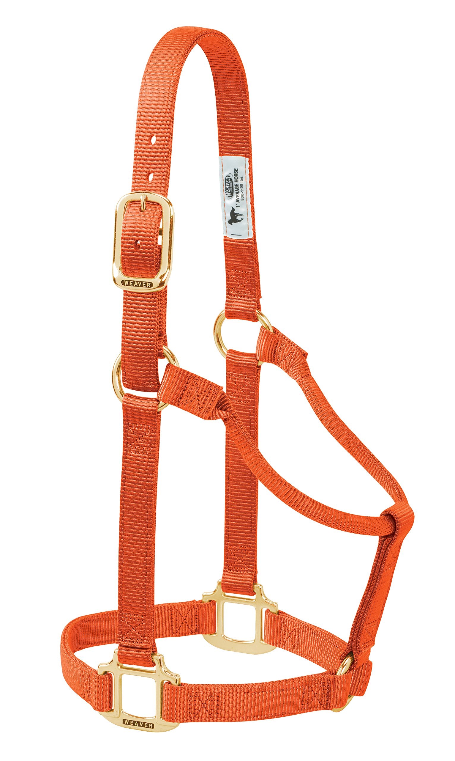Weaver Leather Original Non-Adjustable Nylon Horse Halter, Small, Orange