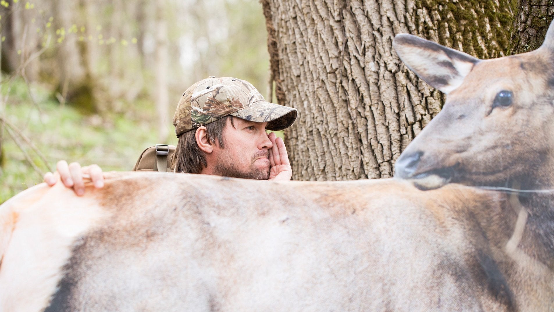 Rmef Cow Elk By Montana Decoy