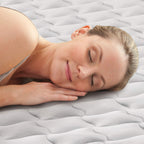 Intex Supreme Air Flow Airbed, 20 Inch Raised Air Mattress With Internal / Built-In Pump And Portable Storage Carrying Case, Twi