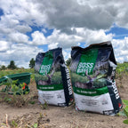 Boss Buck Boss Buffet Full Season Forage Supplemental Deer Attractant | Versatile Nutritious Food Plot Seed Mix For Deer