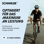 Schwalbe Unisex Adulto Camera Daria Aerothan 28  Raceendurance Sv16E, Trasparente, Taglia Unica, 10400423