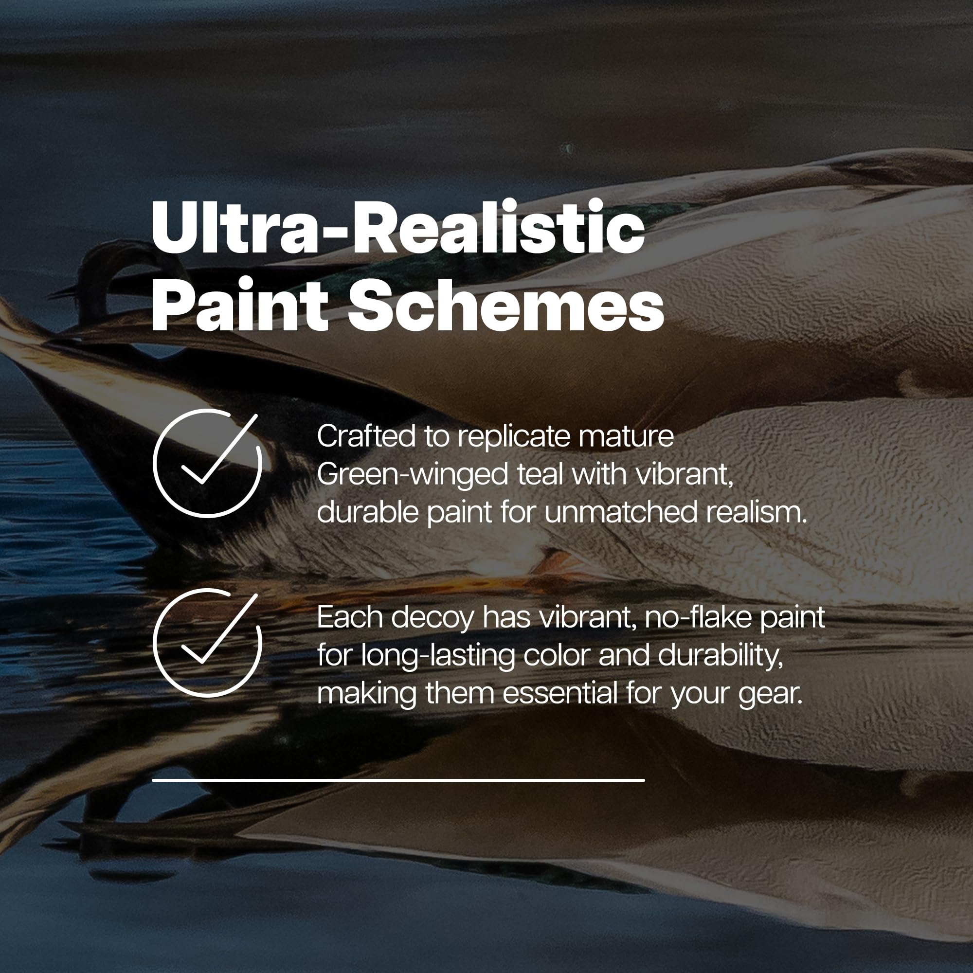 Avian X Topflight Green-Winged Teal Decoys, Realistic Floating Duck Decoys For Hunting, Weight-Forward Swim Keel, Set Of 6, Mult