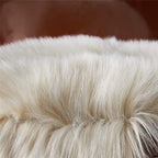 Easyjoy Ultra Soft Fluffy Shaggy Area Rug Faux Fur Rug Chair Cover Seat Pad Fuzzy Area Rug For Bedroom Floor Sofa Living Room (2