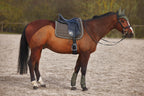 Horze Marquess Quilted Quick-Dry Dressage Saddle Pad With Crystal Trim - Walnut - Horse