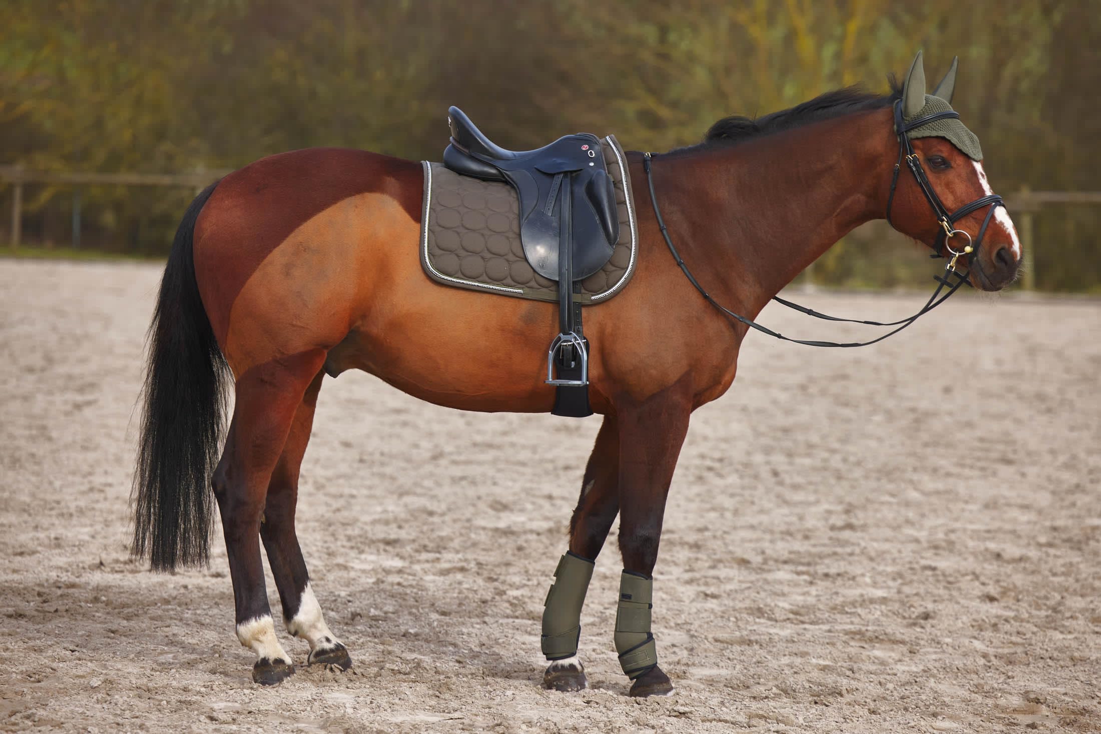 Horze Marquess Quilted Quick-Dry Dressage Saddle Pad With Crystal Trim - Walnut - Horse