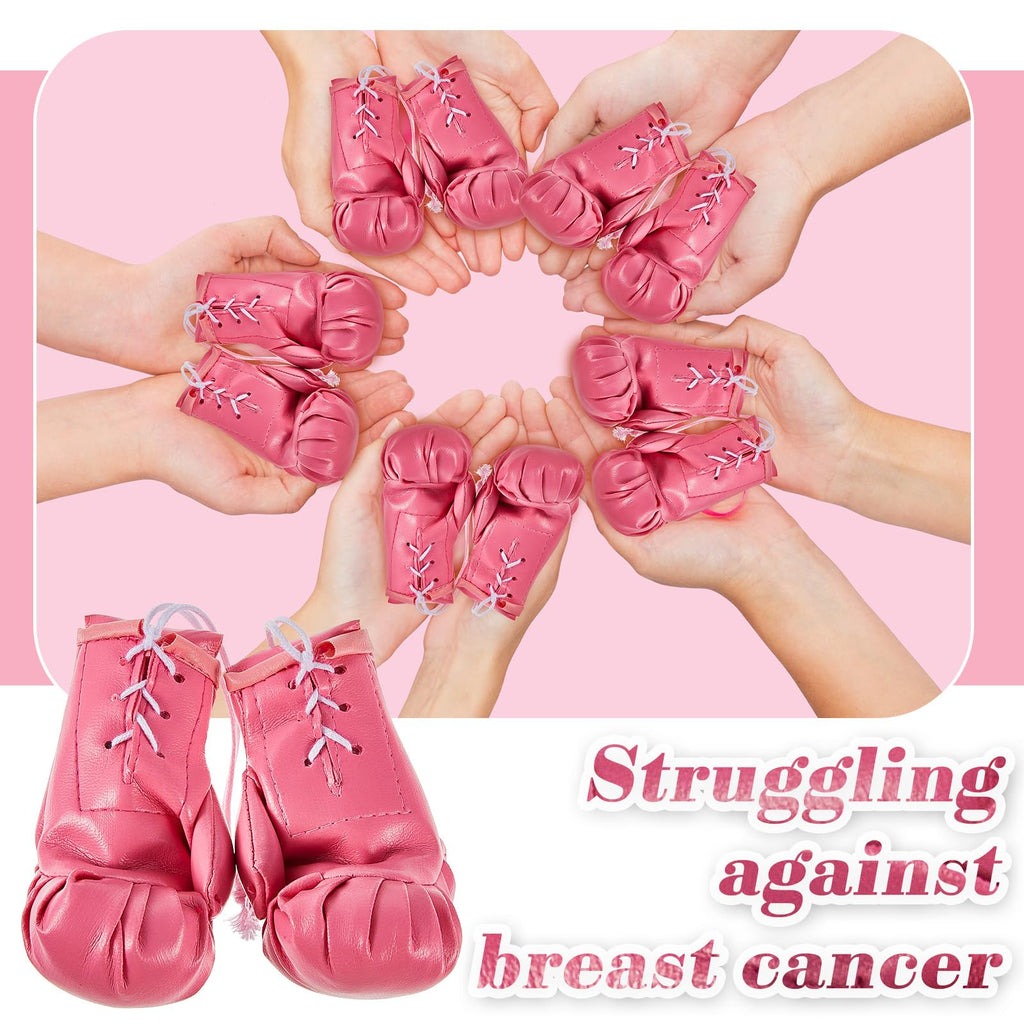 Deekin 3 Pairs Mini Boxing Gloves Miniature Punching Gloves Boxing Party Decorations Boxing Accessories Pink Boxing Gifts Hangin