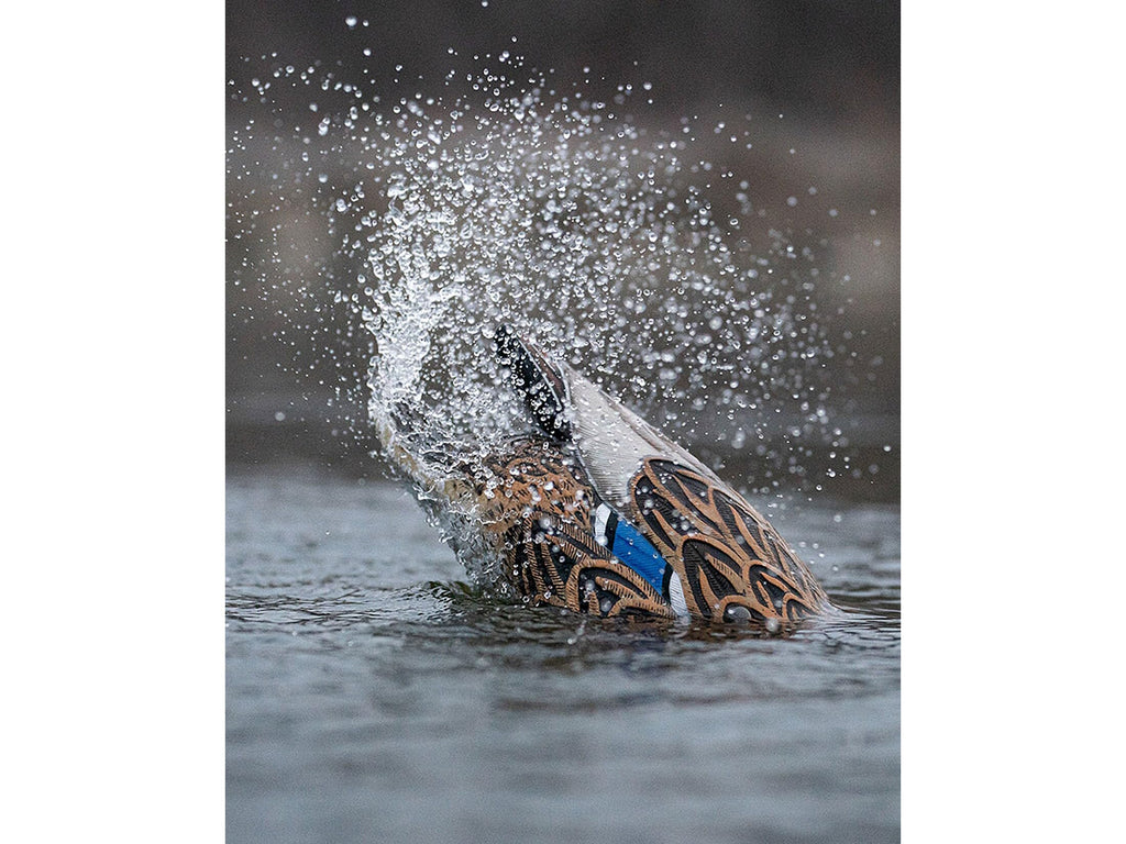 Avery Ghg Finisher Spitter Motion Decoy Mallard Hen
