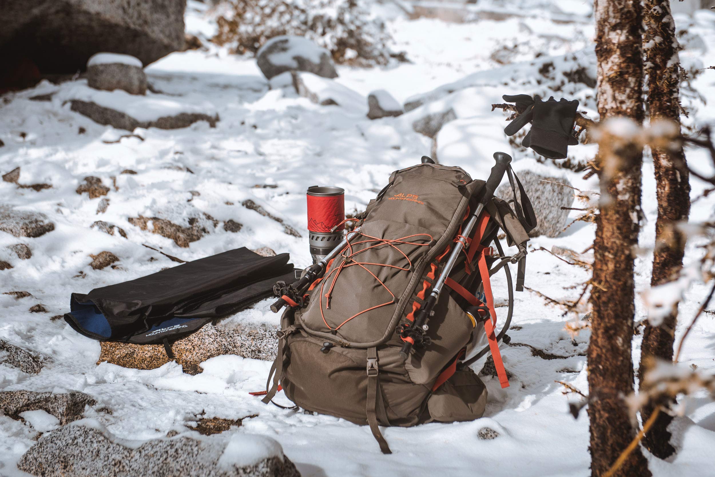 Alps Mountaineering Journey Trekking Pole, Gray
