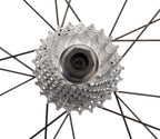 Park Tool Bbt-5/Fr-11 Bottom Bracket/Cassette Lockring Tool