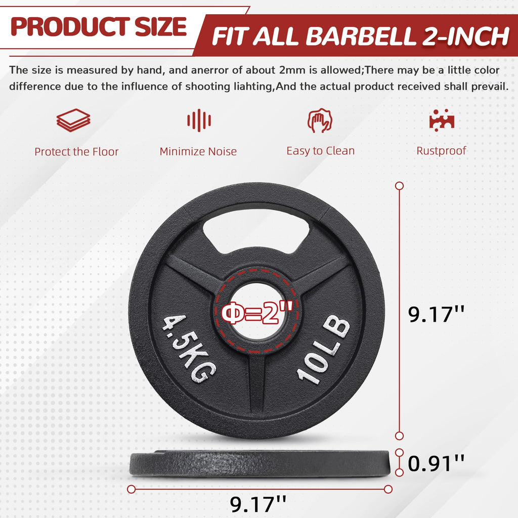Fitvids Olympic Cast Iron 2-Inch Weight Plate for Strength Training & Weightlifting, 10 LB Set of 4