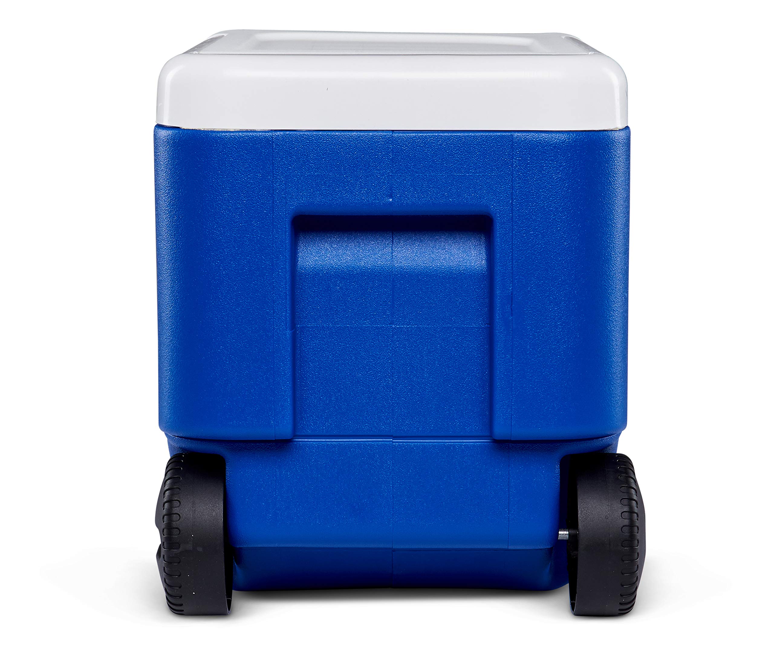 Igloo 38 Quart Wheelie Cooler,Blue (22.875? X 12.875? X 15.875?)