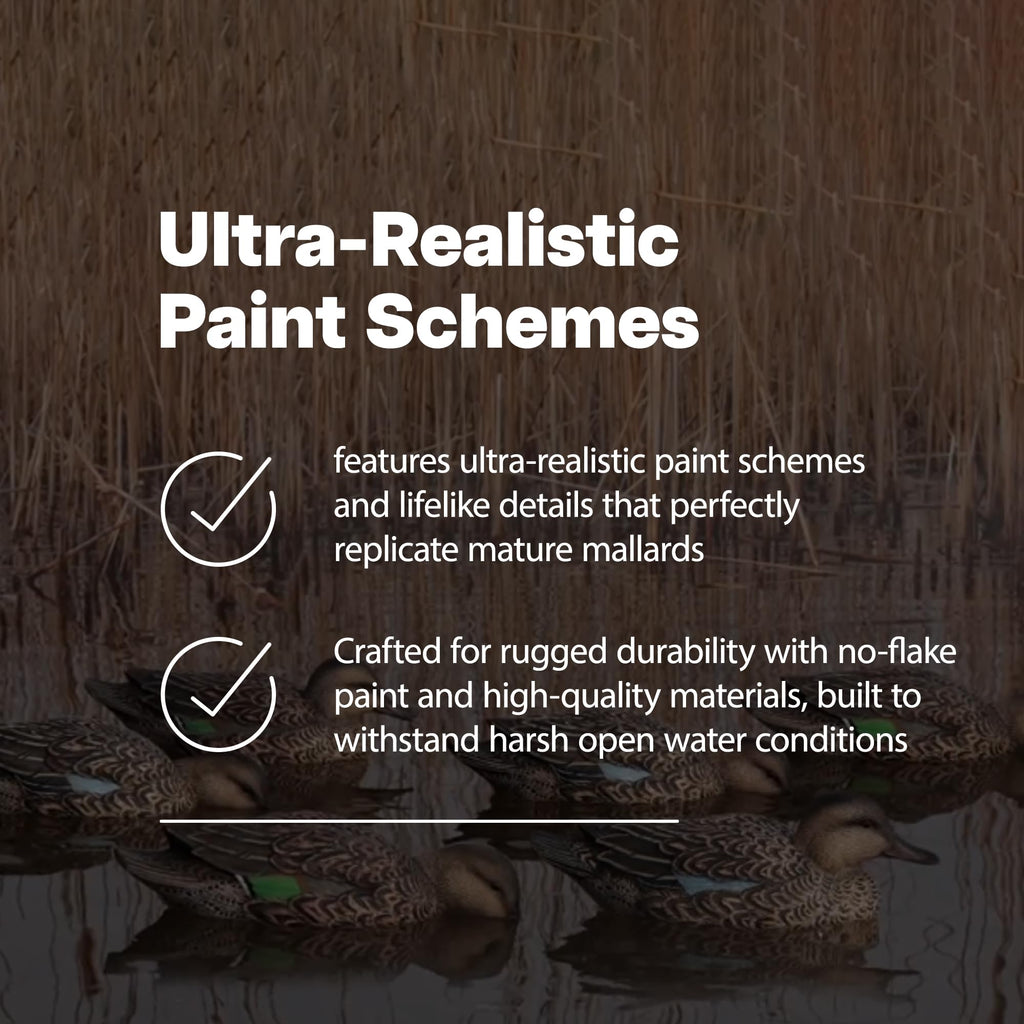 Avian X Top Flight Open Water Mallard Duck Decoys, Ultra Realistic Floating Hunting Decoys With Weight Forward Swim Keel, Multic