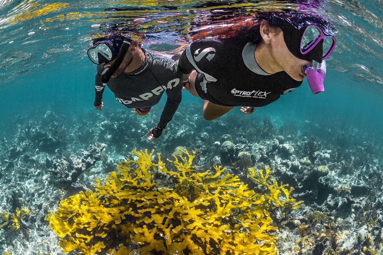 Scubapro Spectra Snorkel (Black/Silver)