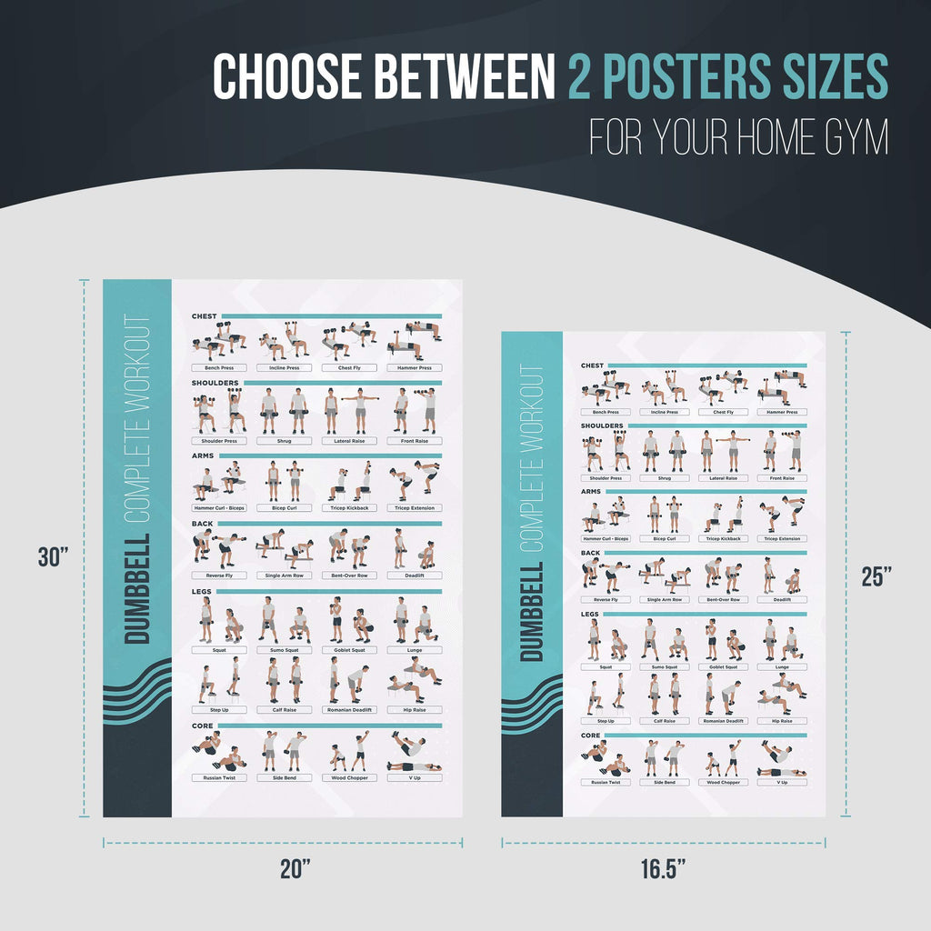 Fitmate Dumbbell Workout Exercise Poster - Workout Routine With Free Weights, Home Gym Decor, Room Guide (16.5 X 25 Inch)
