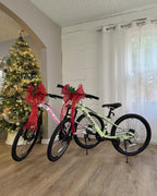 Glerc 24 Inch Kids Bike, Kids Mountain Bike for Boys and Girls Ages 6-10, 21-Speed Skyline Bicycle with Front Suspension and Dis