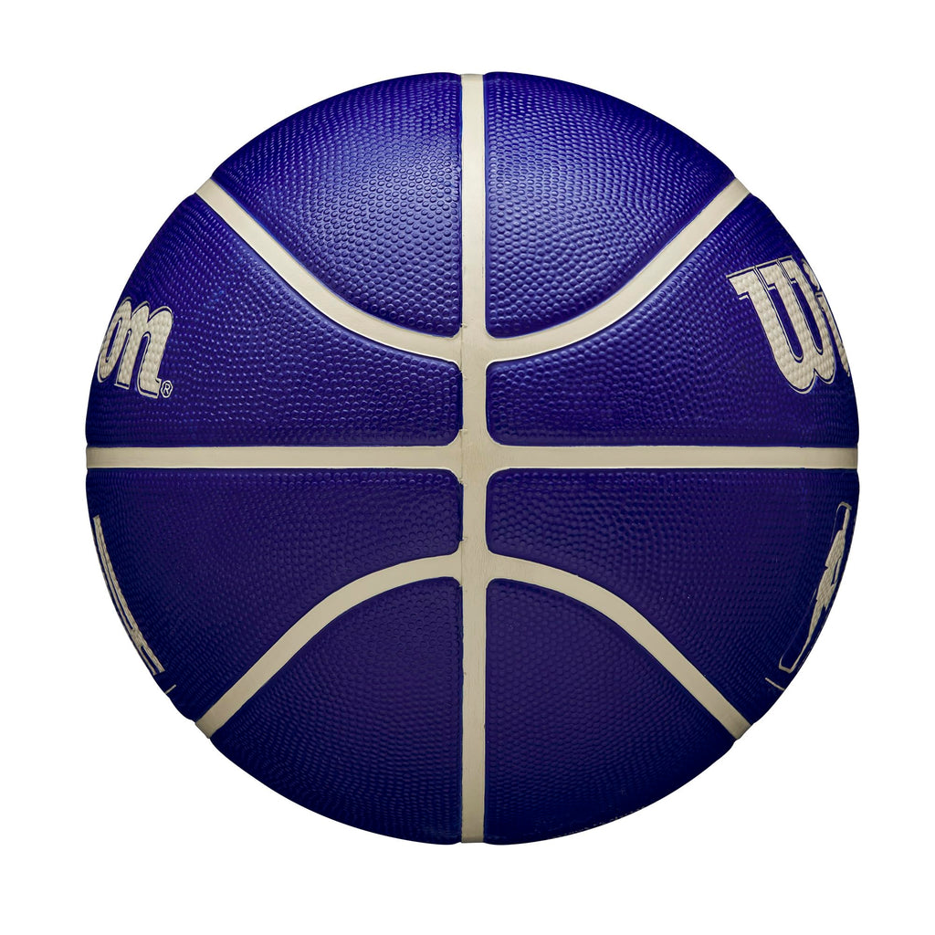 Wilson Nba Drv Outdoor Basketball - Indigo/Beige, Size 6-28.5''