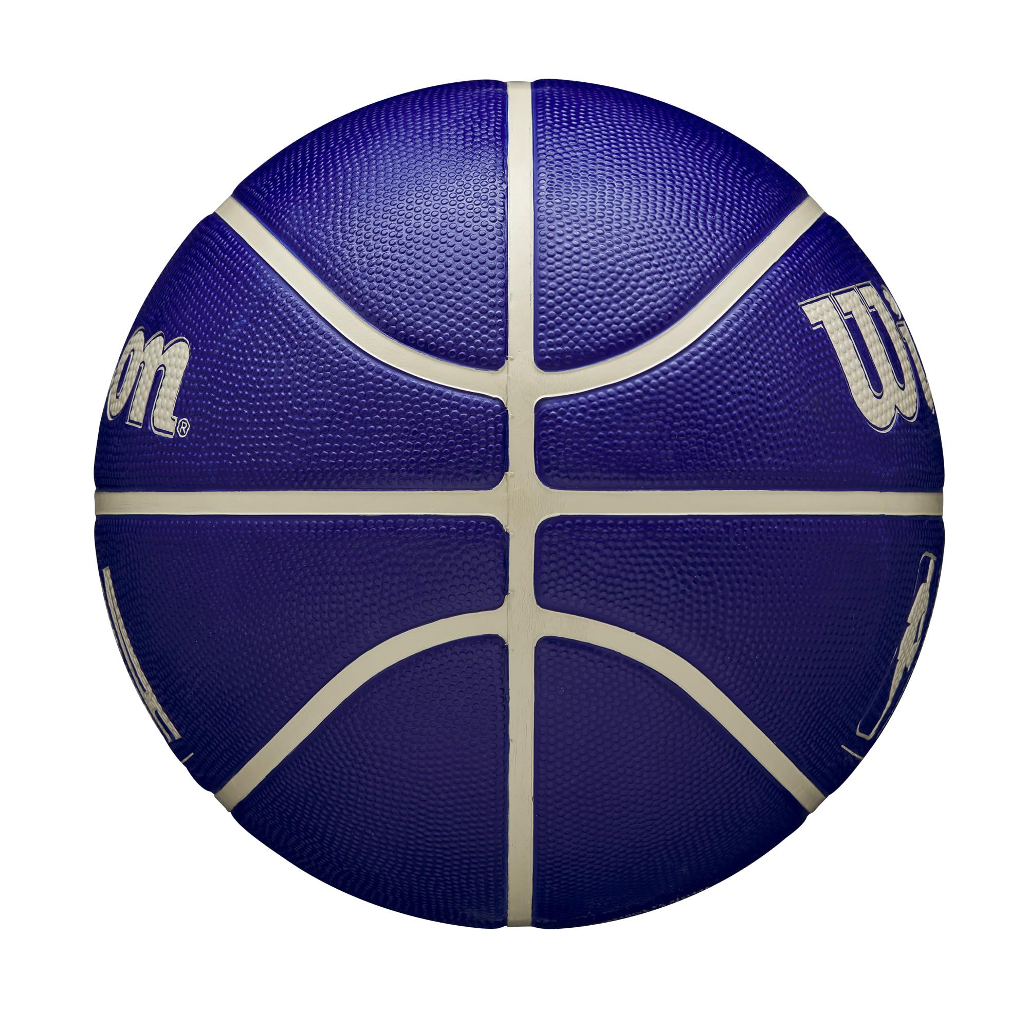 Wilson Nba Drv Outdoor Basketball - Indigo/Beige, Size 6-28.5''
