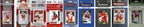 Nhl Detroit Red Wings 9 Different Licensed Trading Card Team Sets