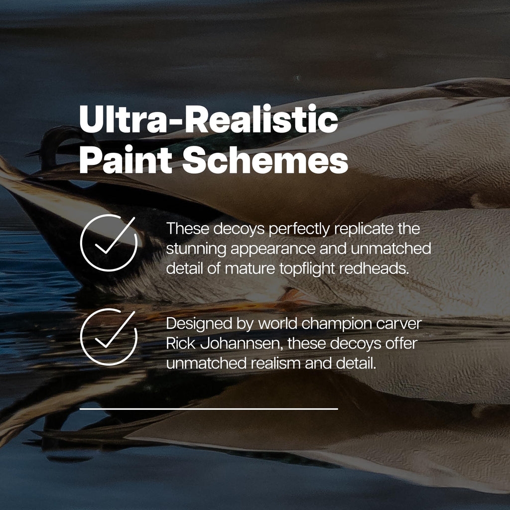 Avian-X Magnum Canvasback Decoys, Open Water, Realistic Design, Weight Forward Swim Keel, Rugged With No Flake Paint Finish, Tru