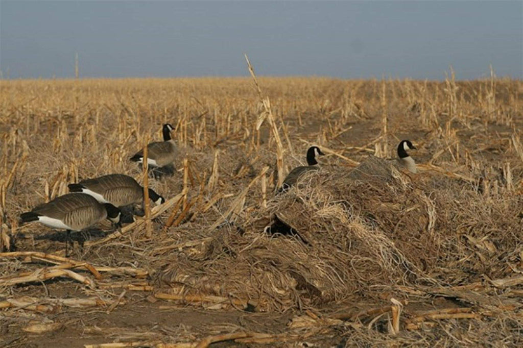 Avery Outdoors Hunting Gear Killerweed Layout Blind Kit-All-Terrain