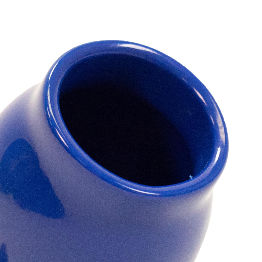 Scuba Choice Scuba Diving Skum-Ball Regulator Mouthpiece Cover With Clip, Blue