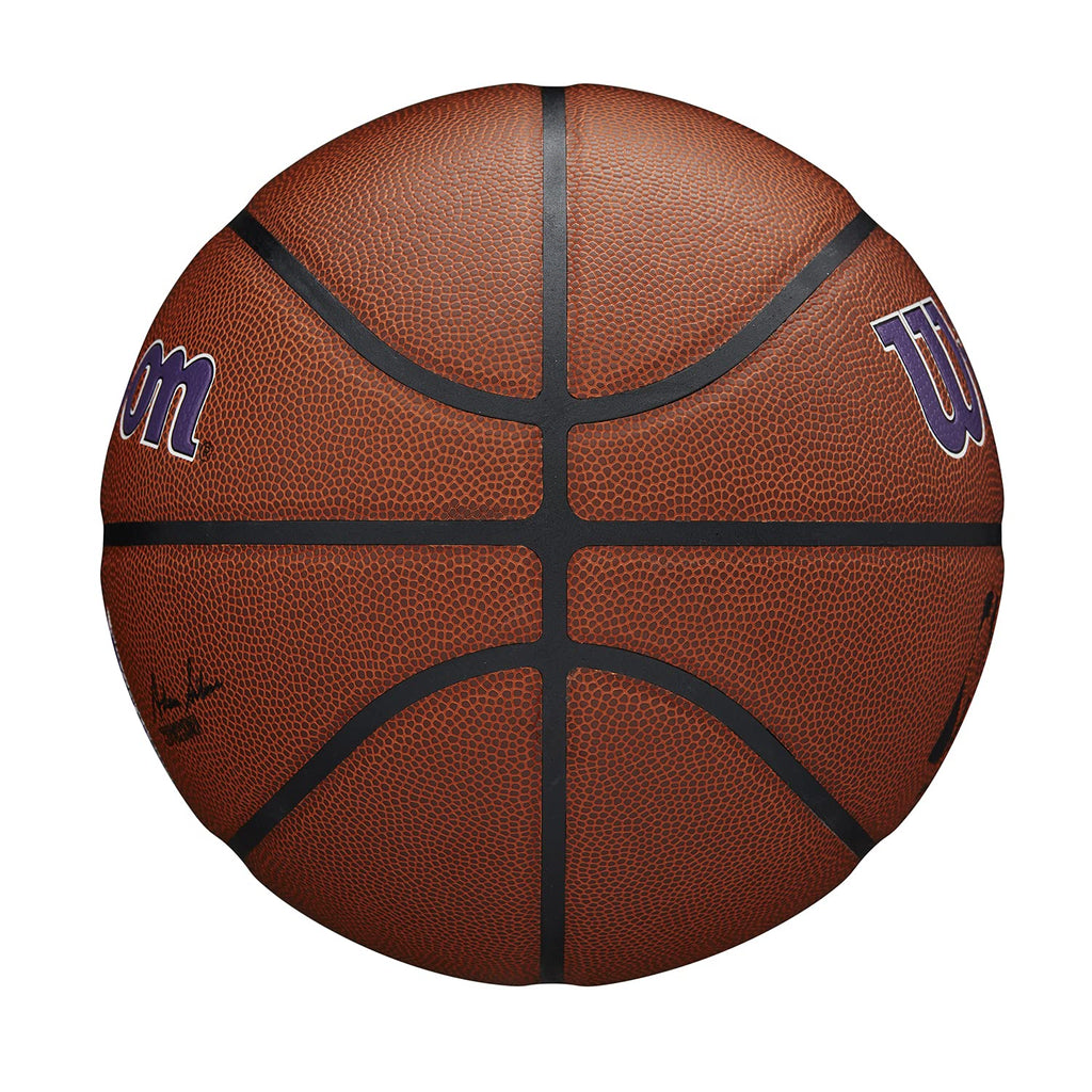 Wilson Nba Team Alliance Basketball - Size 7 - 29.5'', Sacremento Kings