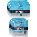 Icepaca Ice Pack for Coolers (6 Pack), High Performance, Reusable Long-Lasting Cold Pack for, Camping, Travel - Non-Toxic, Leakp