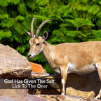Himalayan Nature 100% Natural Himalayan Rock Deer Salt Licking Block - Animal Licking Mineral Salt Block, Natural Feed Salts Bri