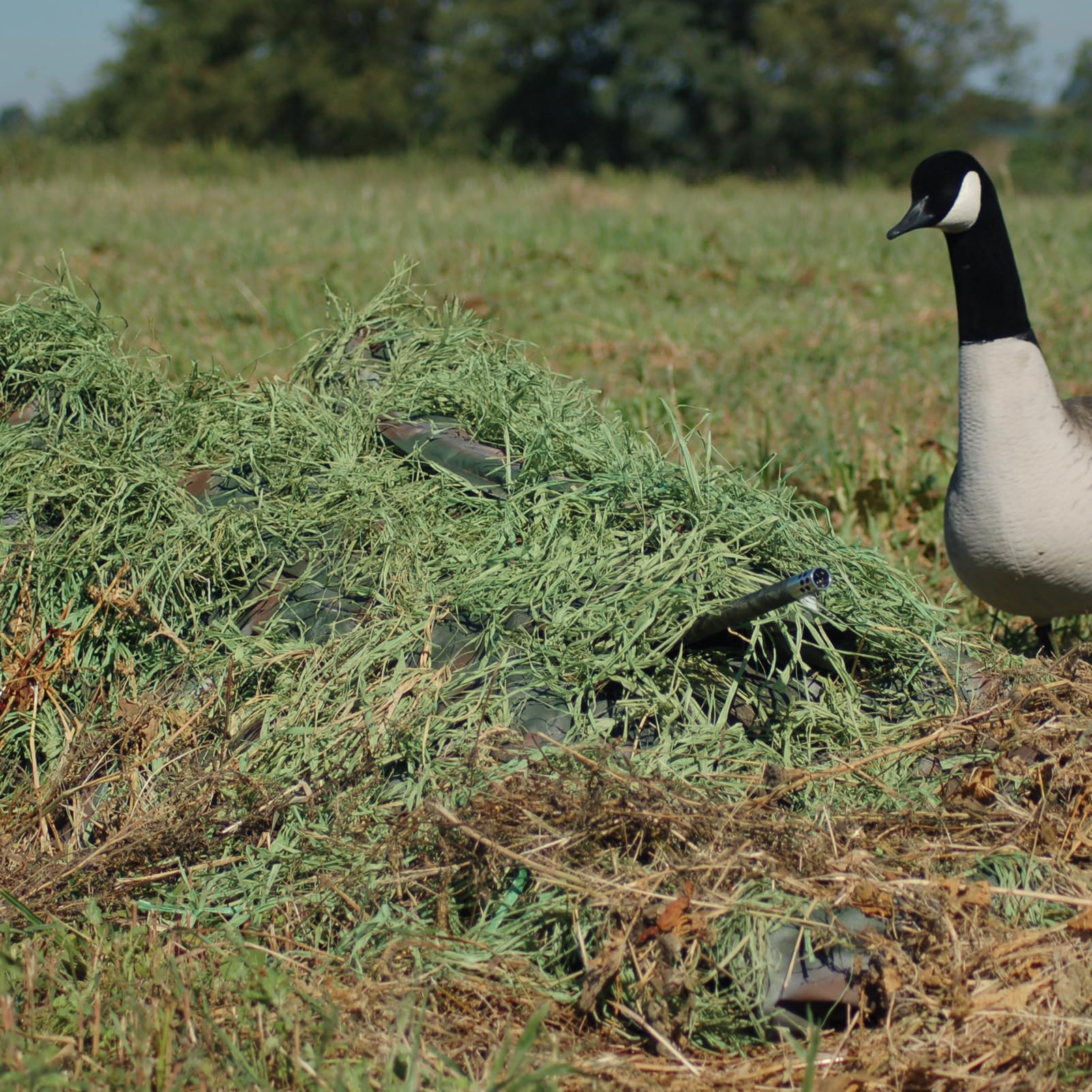 Avery Killerweed Layout Blind Kit - Blind Covering Material (Winter Wheat)