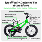 Royalbaby Freestyle Kids Bike 20 Inch Wheel Bicycle Teens Bmx With Dual Hand Brakes Kickstand Boys Girls Ages 6-10 Years, Green