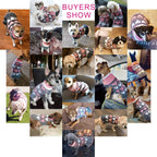 Jecikelon Pet Dog Long Sweaters Dress Knitwear Turtleneck Pullover Warm Winter Puppy Sweater Long Dresses (Grey Heart, X-Small)