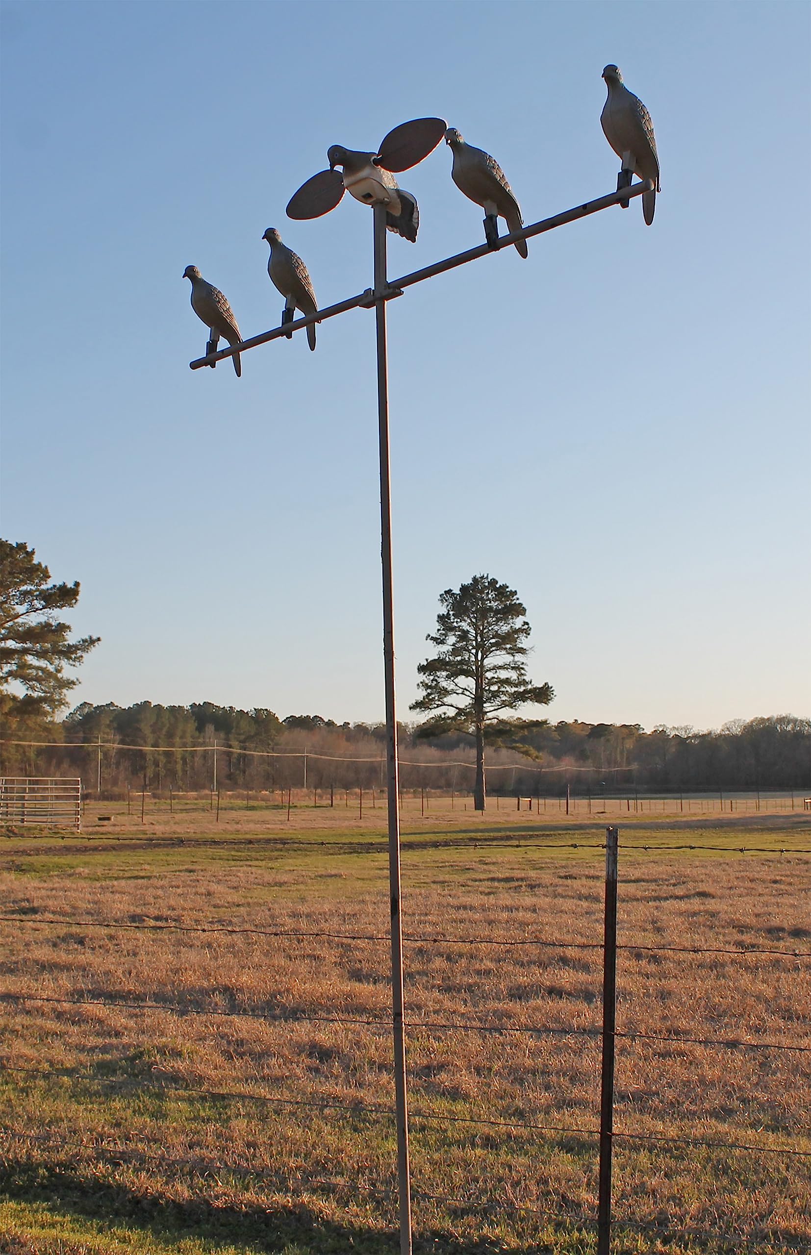 Mojo Outdoors Dove Tree Mounting Pole With Carrying Bag, Works With Mojo Dove Decoys - Dove Hunting Accessories, Brown
