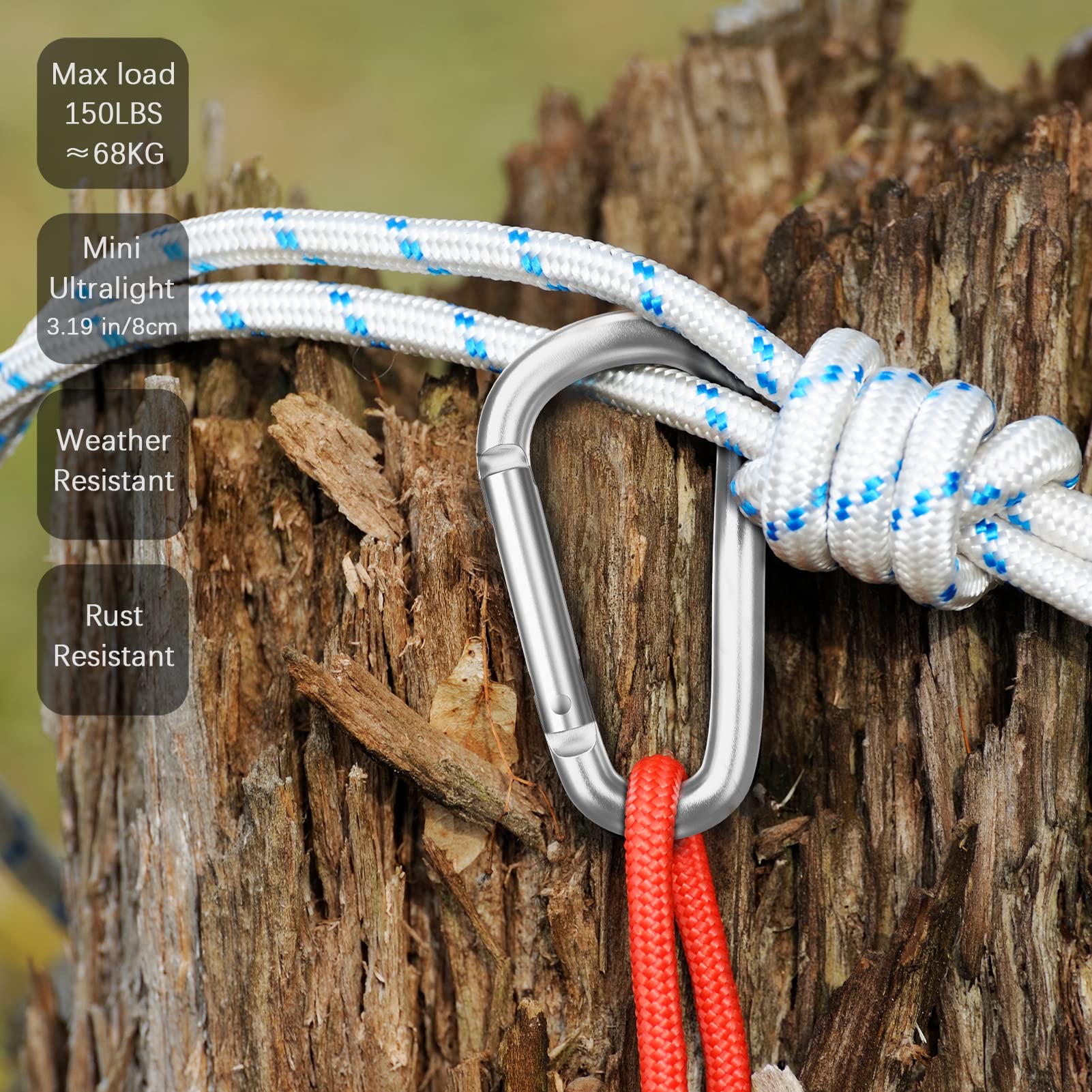 Sprookber 3'' Aluminum Carabiner D Ring, Caribeenerclips, Spring Snap Hookfor Keychain Clip,Set Of 10 (Silver)