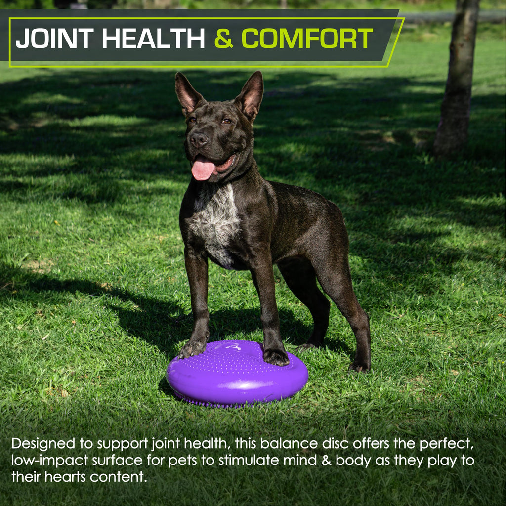 Prosourcefit Core Balance Disc Trainer, 14 Diameter With Pump For Improving Posture, Fitness, Stability, Purple