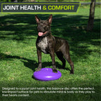 Prosourcefit Core Balance Disc Trainer, 14 Diameter With Pump For Improving Posture, Fitness, Stability, Purple