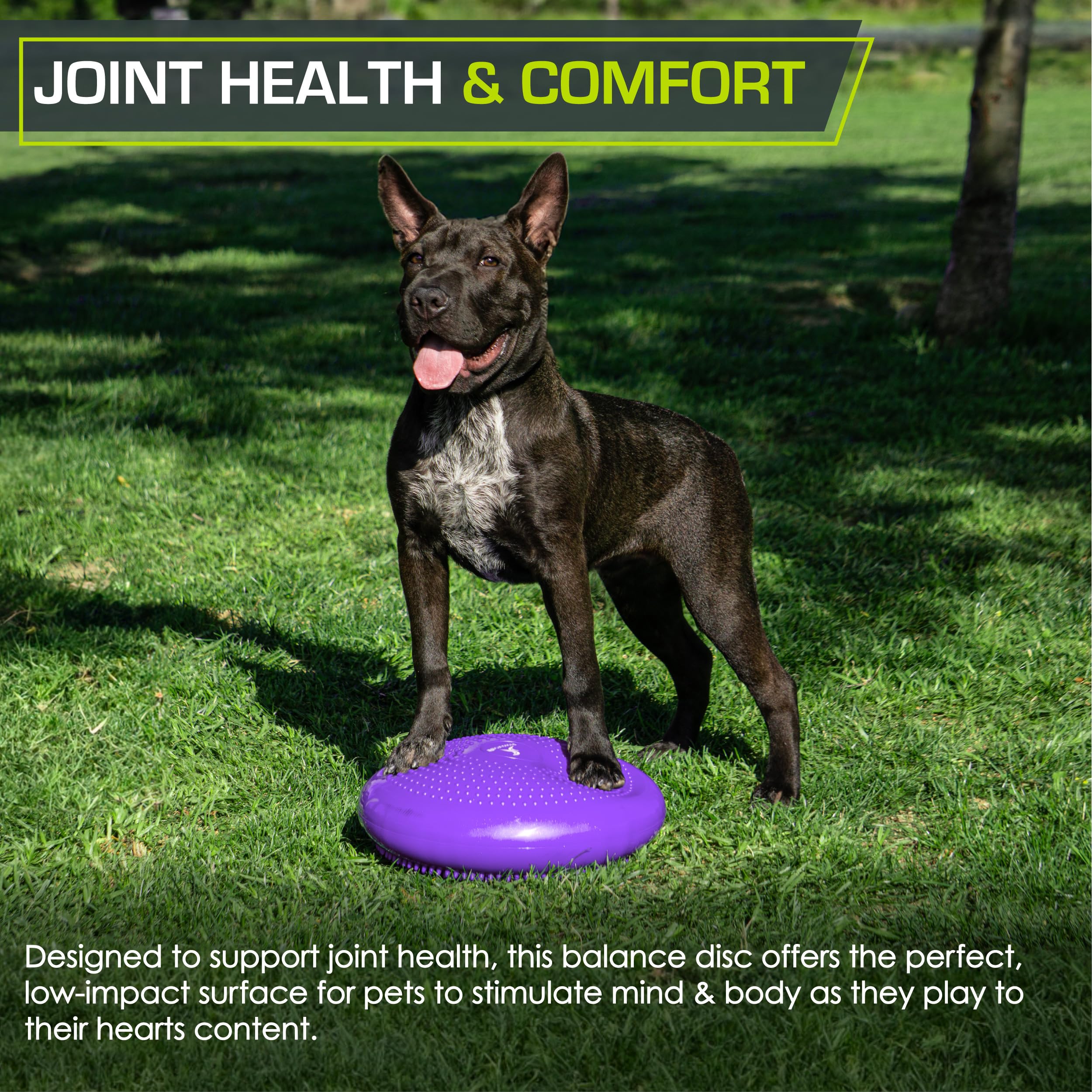 Prosourcefit Core Balance Disc Trainer, 14 Diameter With Pump For Improving Posture, Fitness, Stability, Purple
