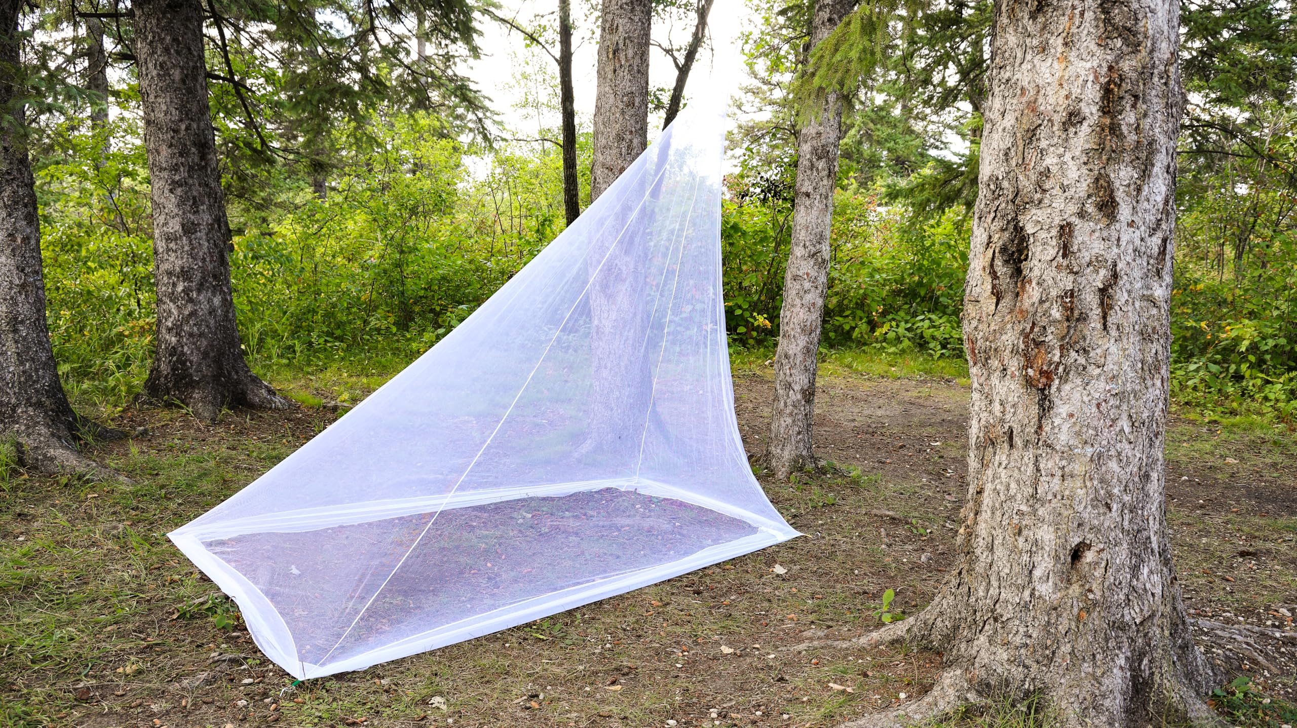 Coghlans Hikers Mosquito Net