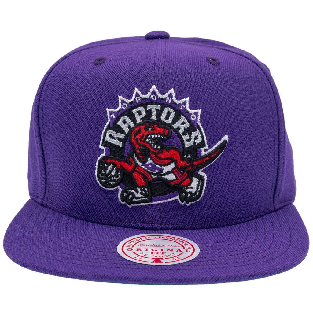 Team Ground 20 Snapback Hwc Toronto Raptors
