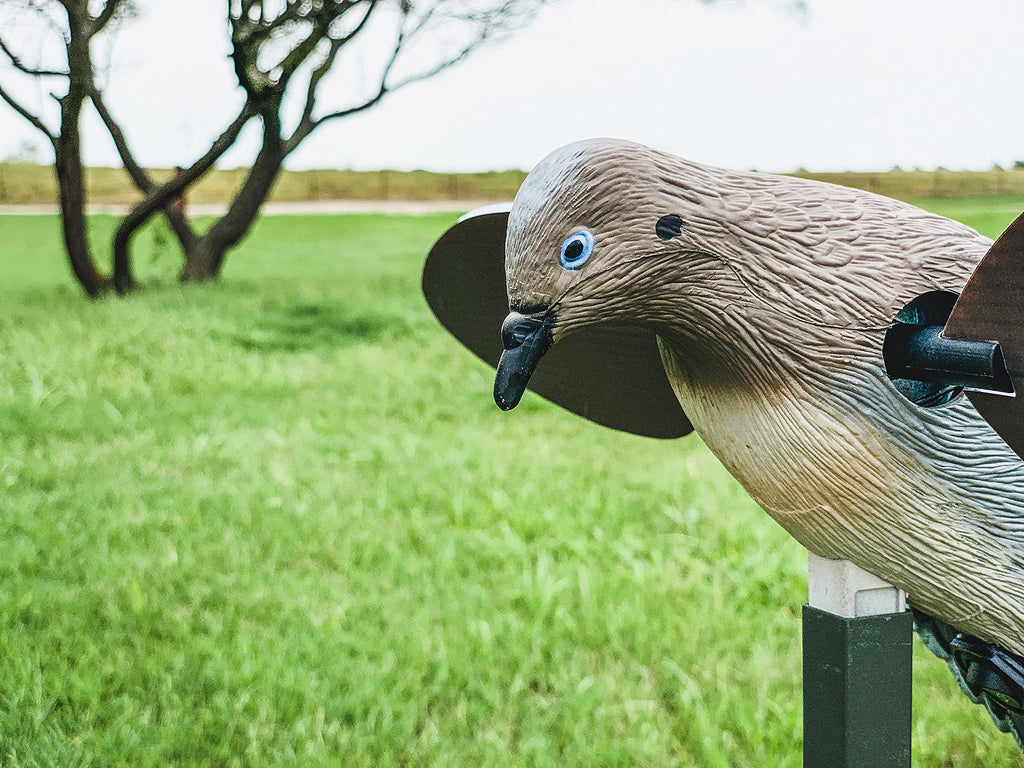 Mojo Outdoors Voodoo Dove Decoy - Motion Dove Decoy For Hunting, Multicolor