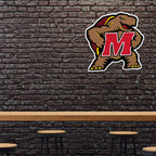 Rico Industries Ncaa Maryland Terrapins Mascot Shape Cut Pennant - Home And Living Room D  Cor - Soft Felt Ez To Hang