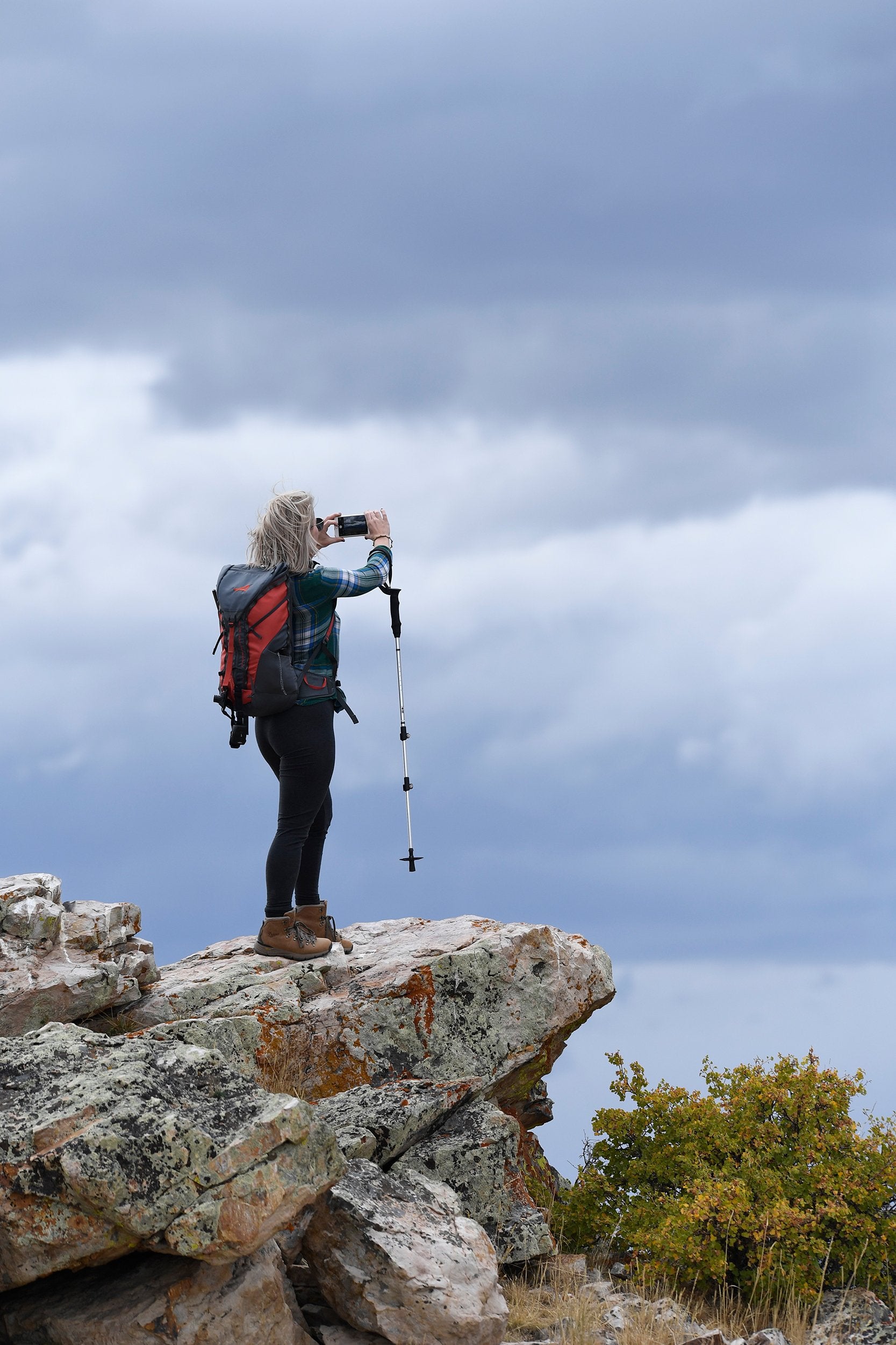 Alps Mountaineering Journey Trekking Pole, Gray