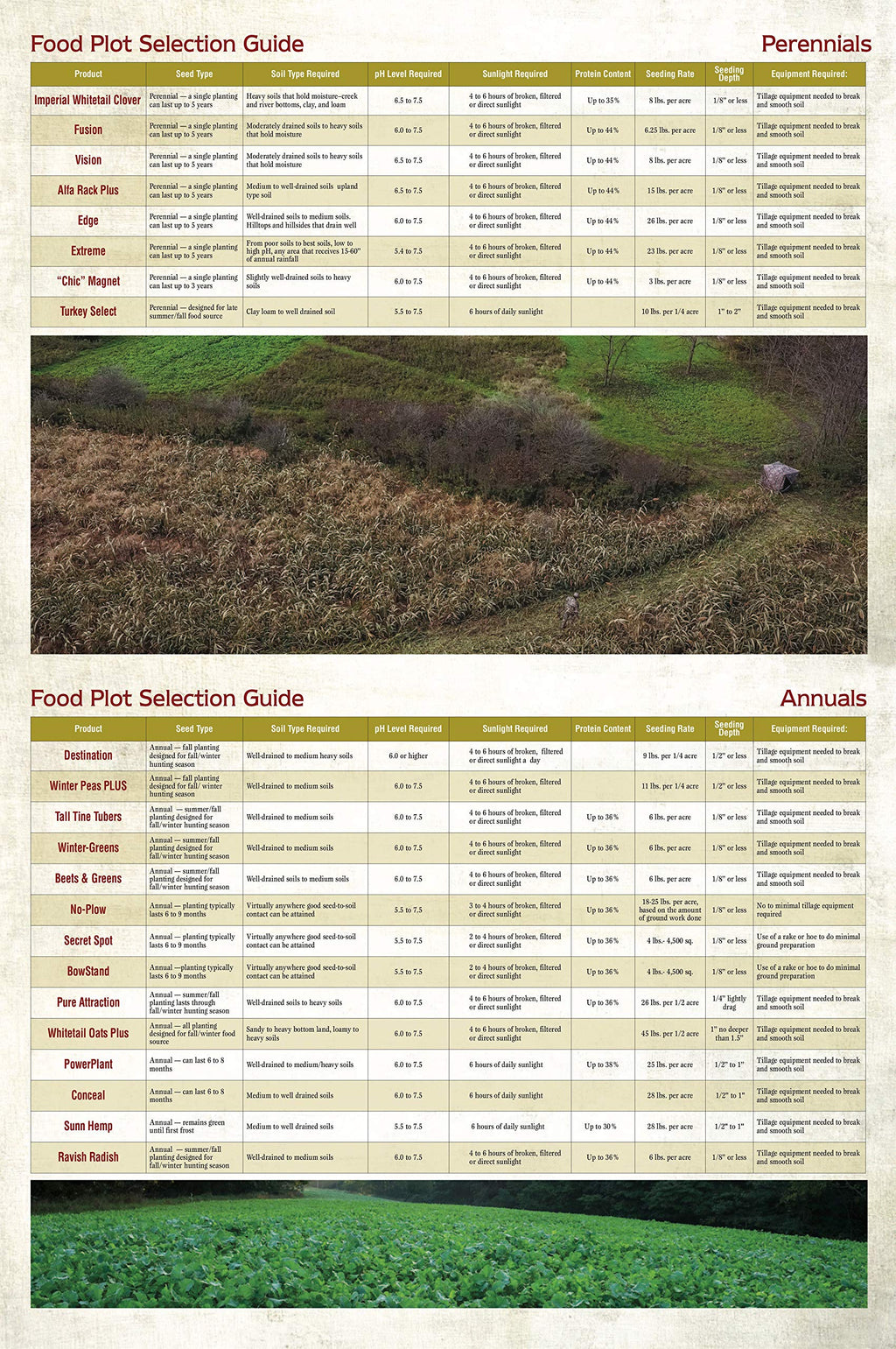 Whitetail Institute Winter-Greens Deer Food Plot Seed For Fall Planting, Annual Brassica Blend To Attract Deer In The Early And
