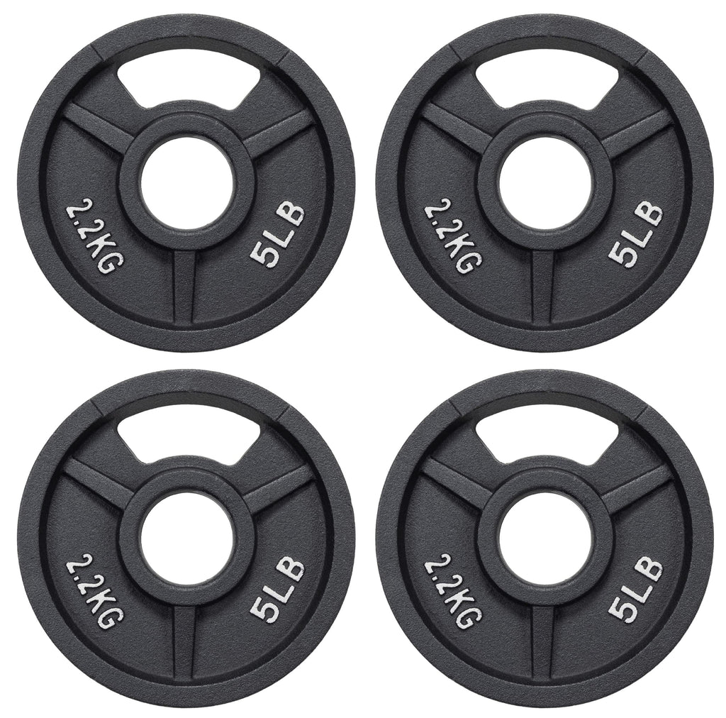 Fitvids Olympic Cast Iron 2-Inch Weight Plate for Strength Training & Weightlifting, 5LB Set of 4