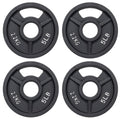 Fitvids Olympic Cast Iron 2-Inch Weight Plate for Strength Training & Weightlifting, 5LB Set of 4