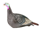 Hunters Specialties 100001 Strut-Lite Hen Decoy,Brown